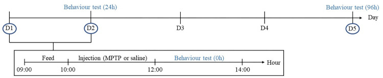 Fig 1