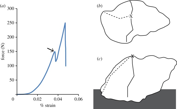 Figure 4.