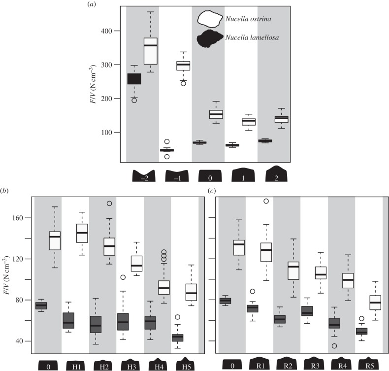 Figure 5.