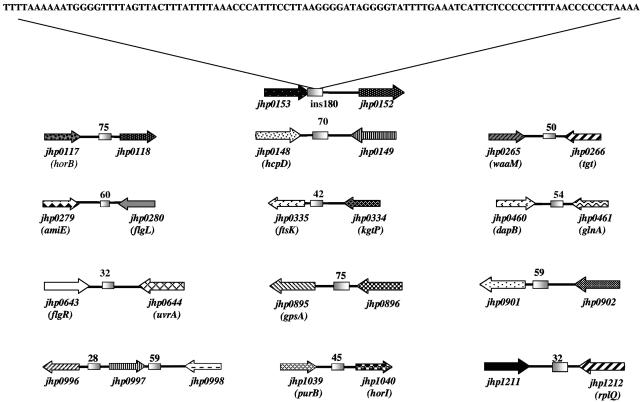 FIG. 1.