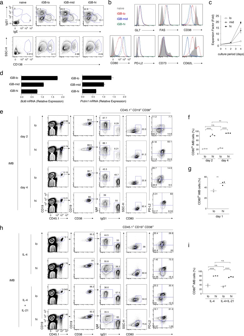 Figure 3—figure supplement 1.