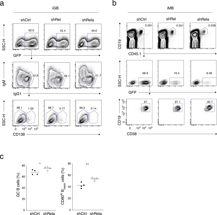 Figure 6—figure supplement 1.