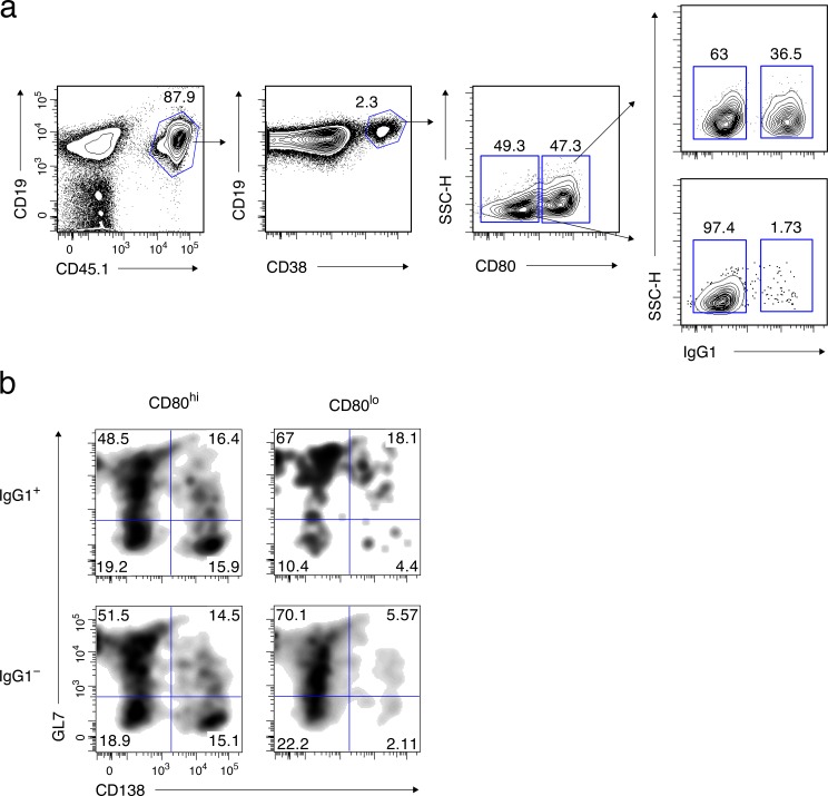 Figure 1—figure supplement 1.