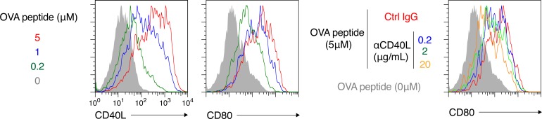 Figure 5—figure supplement 1.