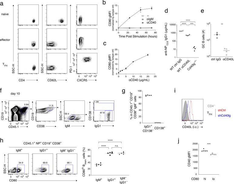 Figure 2—figure supplement 1.