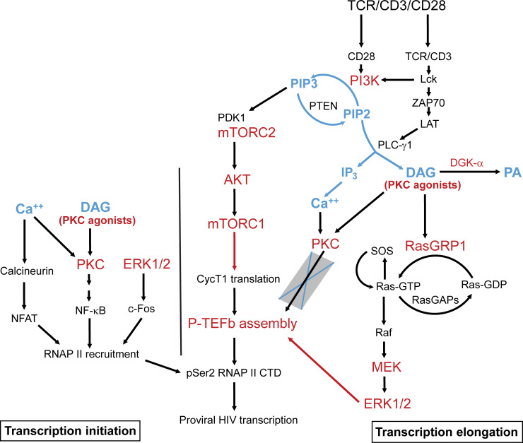 Fig 10