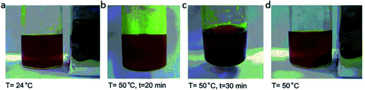 Fig. 20