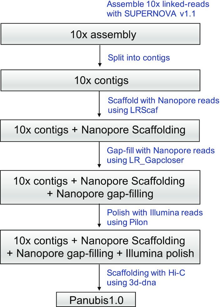 Figure 1: