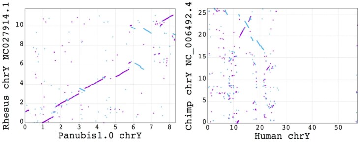 Figure 3: