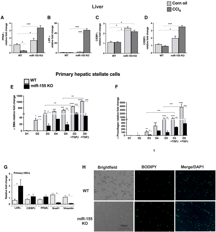 Figure 5