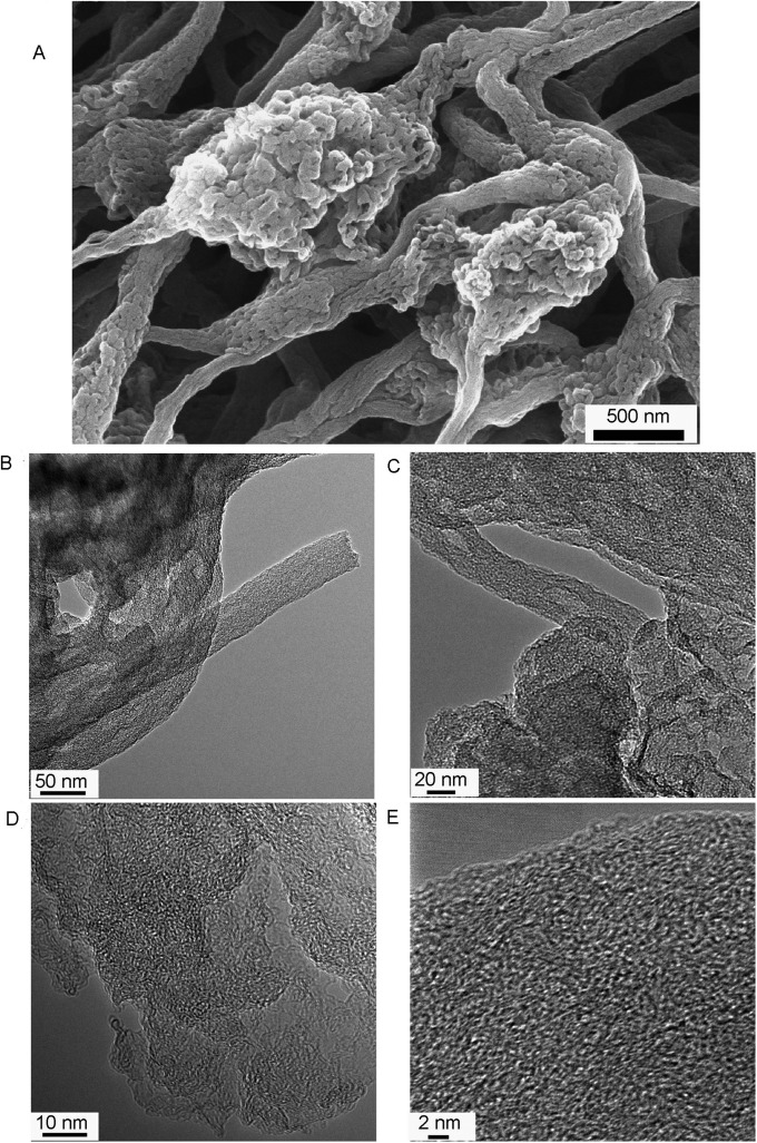 Fig. S6.