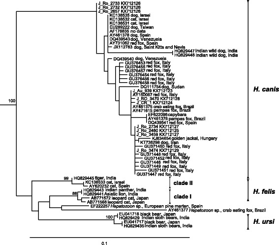 Fig. 5