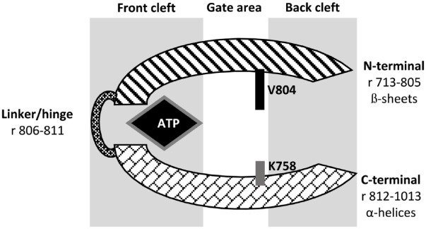 Figure 2.