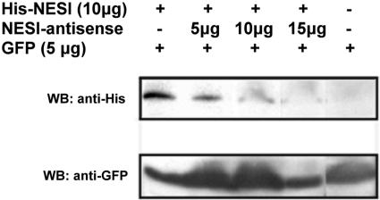 FIG. 6.