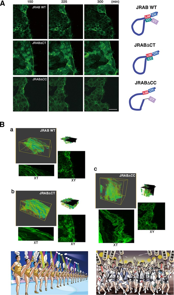 FIGURE 3: