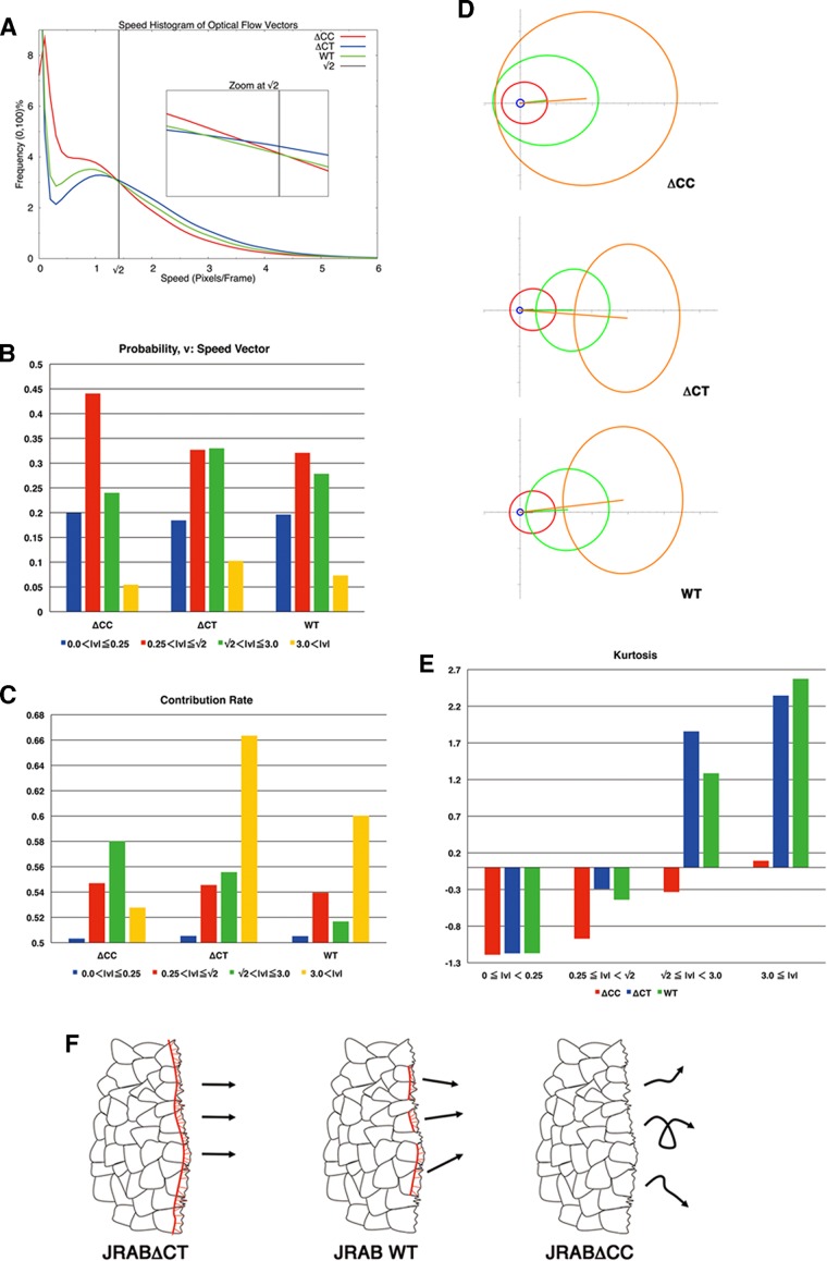 FIGURE 6: