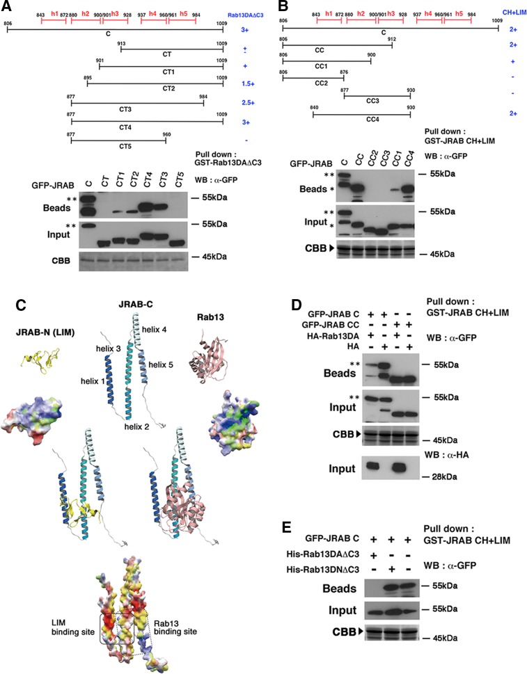 FIGURE 1: