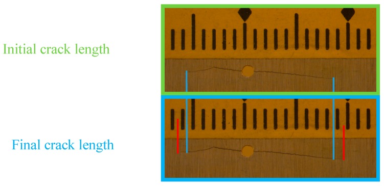 Figure 21