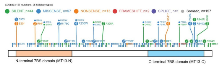 Figure 7