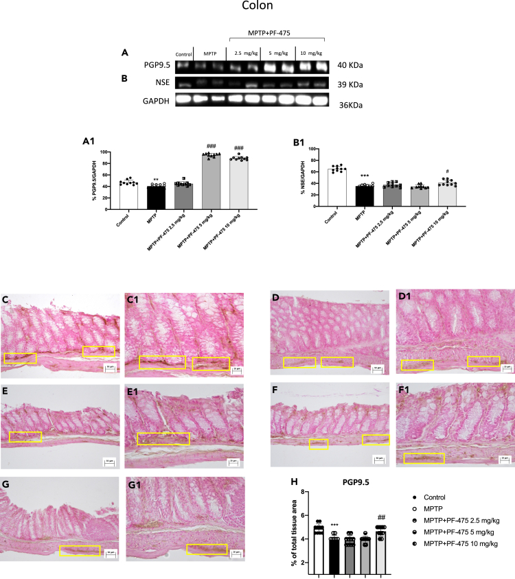 Figure 6