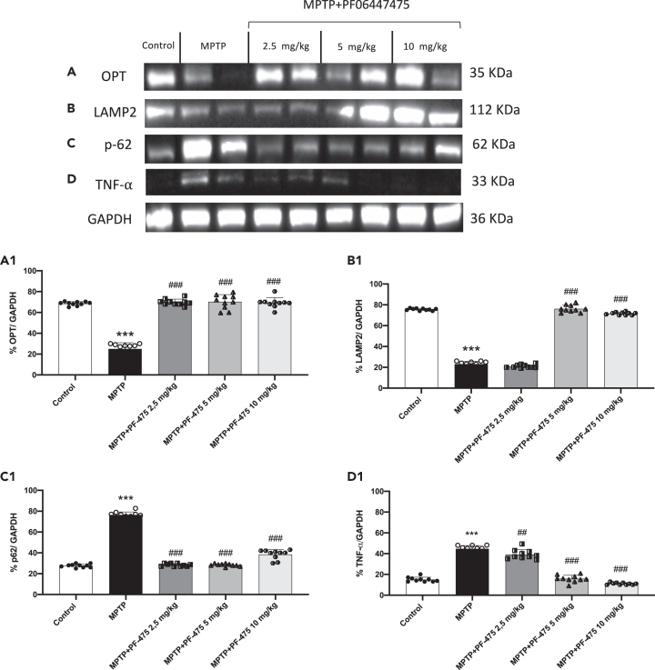 Figure 2