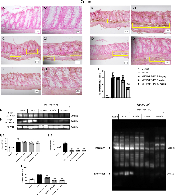 Figure 5