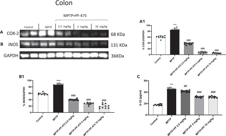 Figure 4