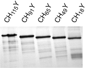 Fig. S3.