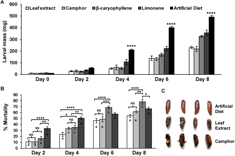 Figure 5