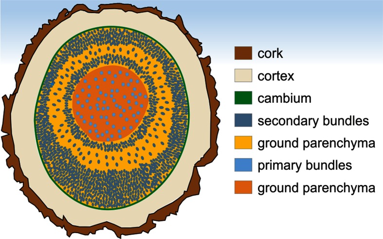 Fig. 3