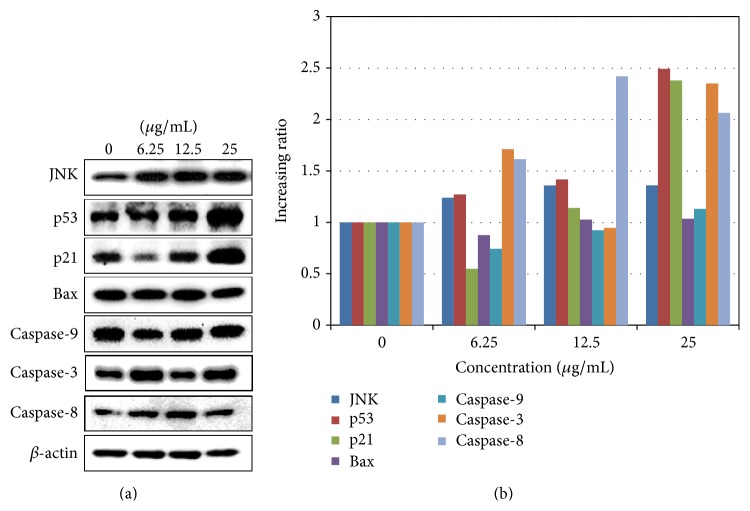 Figure 5