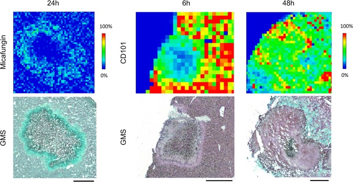 FIG 3