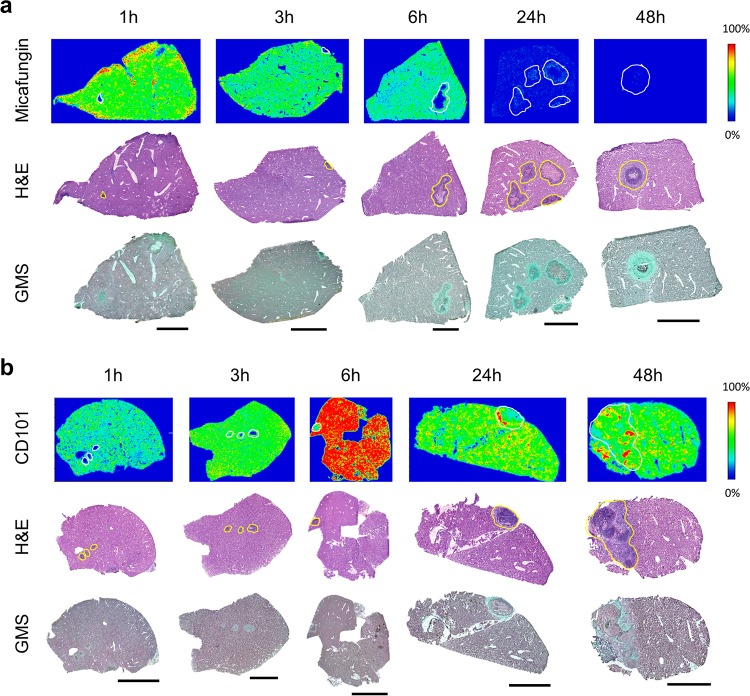 FIG 2