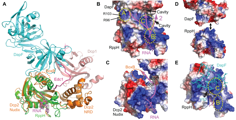 Figure 10.