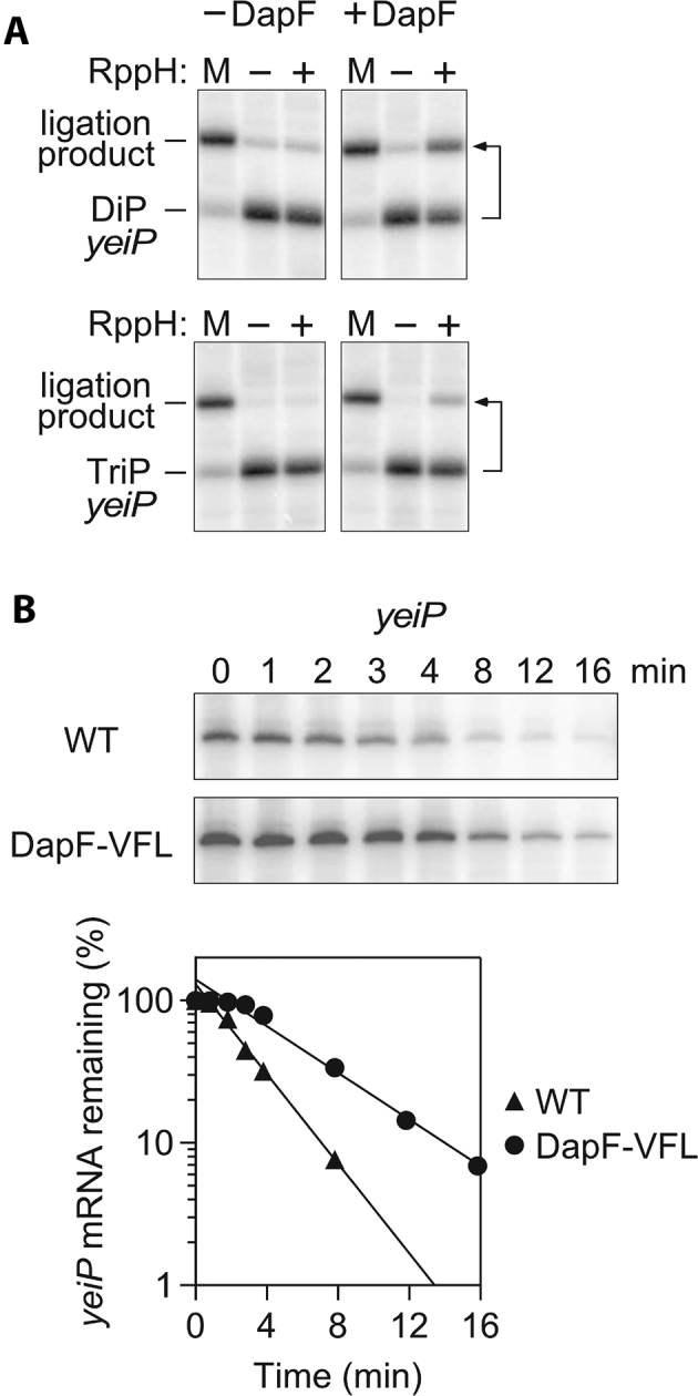 Figure 9.