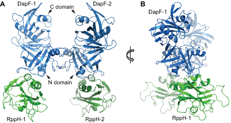 Figure 2.