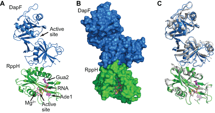 Figure 3.