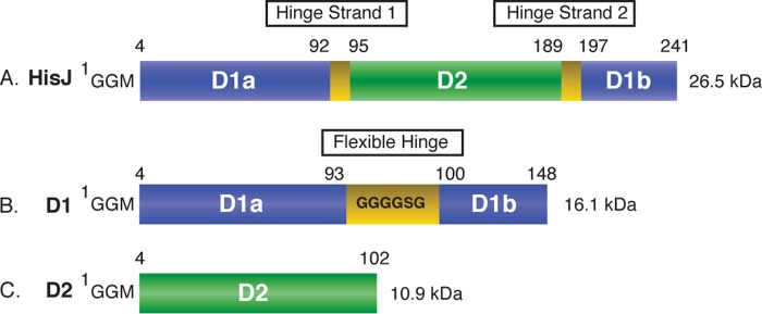 FIGURE 1.