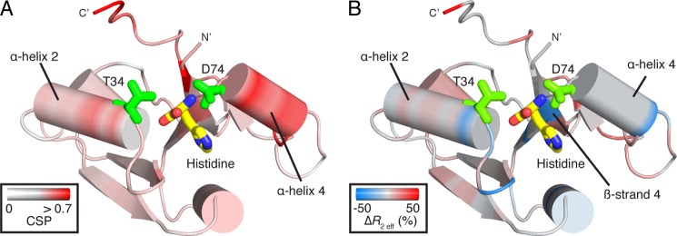 FIGURE 10.