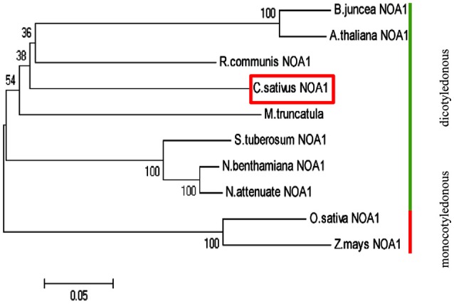 Figure 1