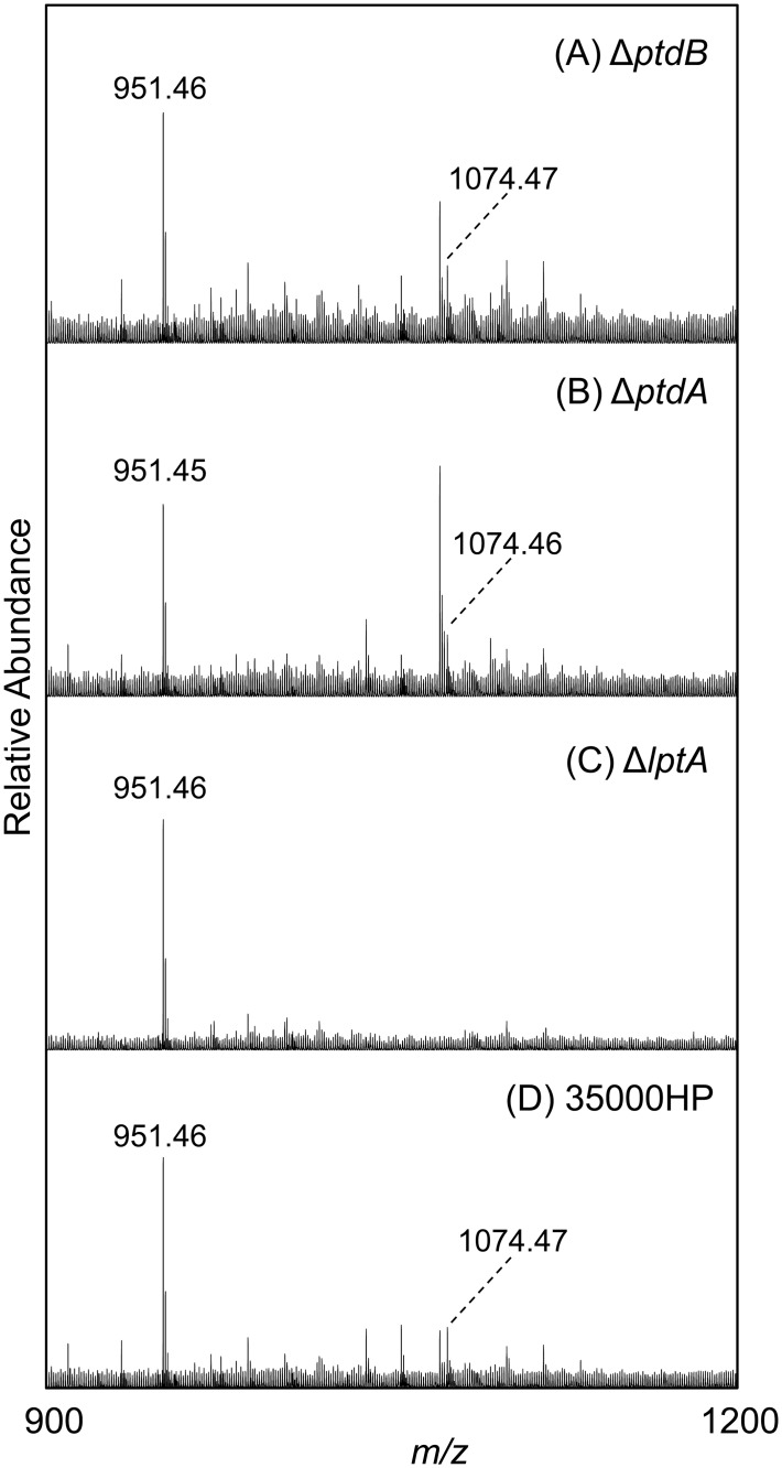 Fig 5