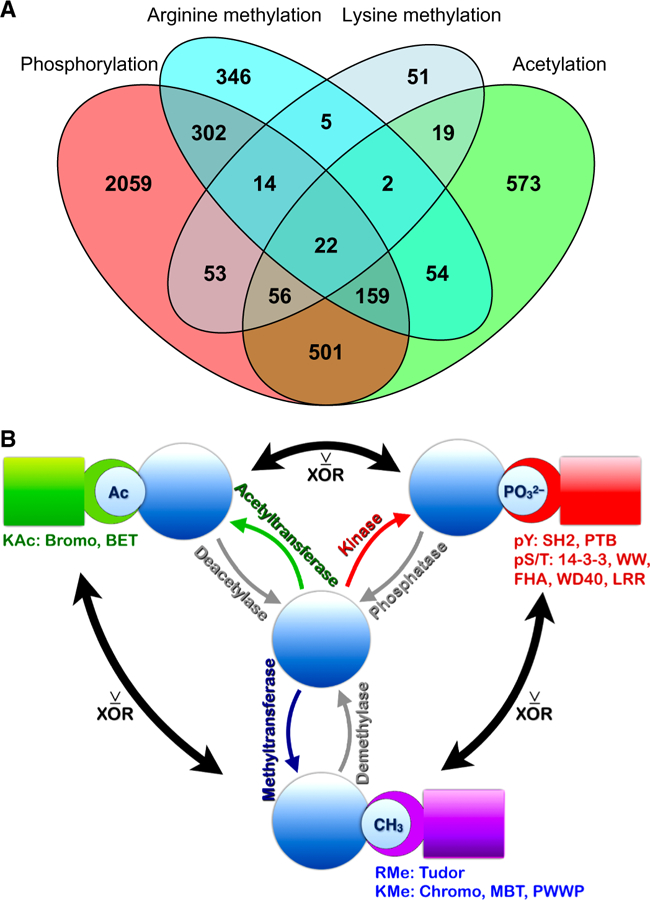 Figure 9.