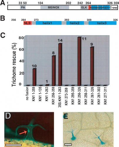 Figure 2.