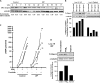 <b>Figure 3.</b>