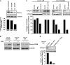 <b>Figure 4.</b>