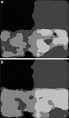 Fig. 6