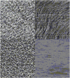 Fig. 4