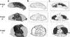 Fig. 12