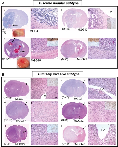 Fig. 3.