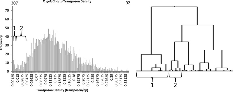 FIG 1